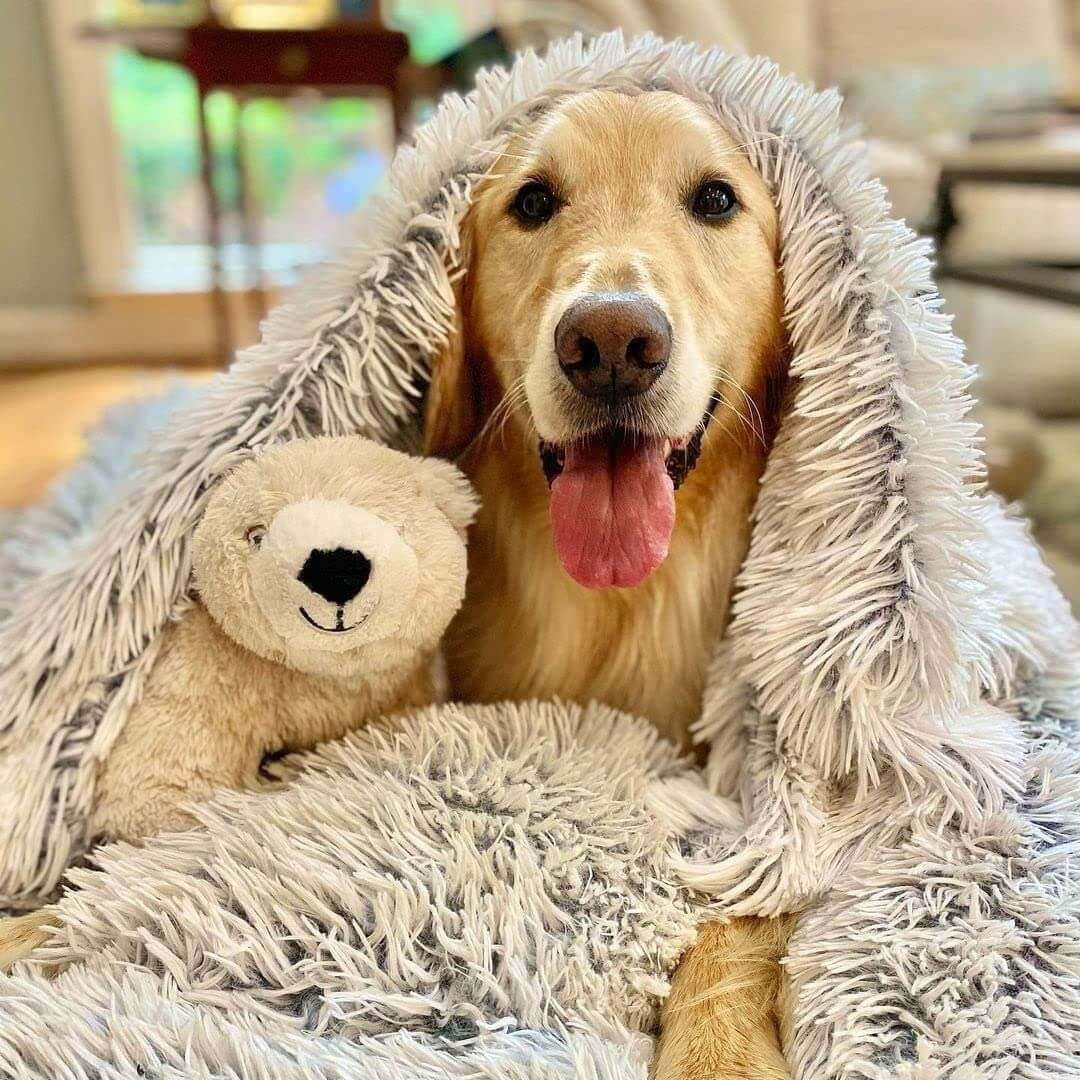 Mrfluffyfriend™ - Anxiety Relieving Fluffy Pet Blanket