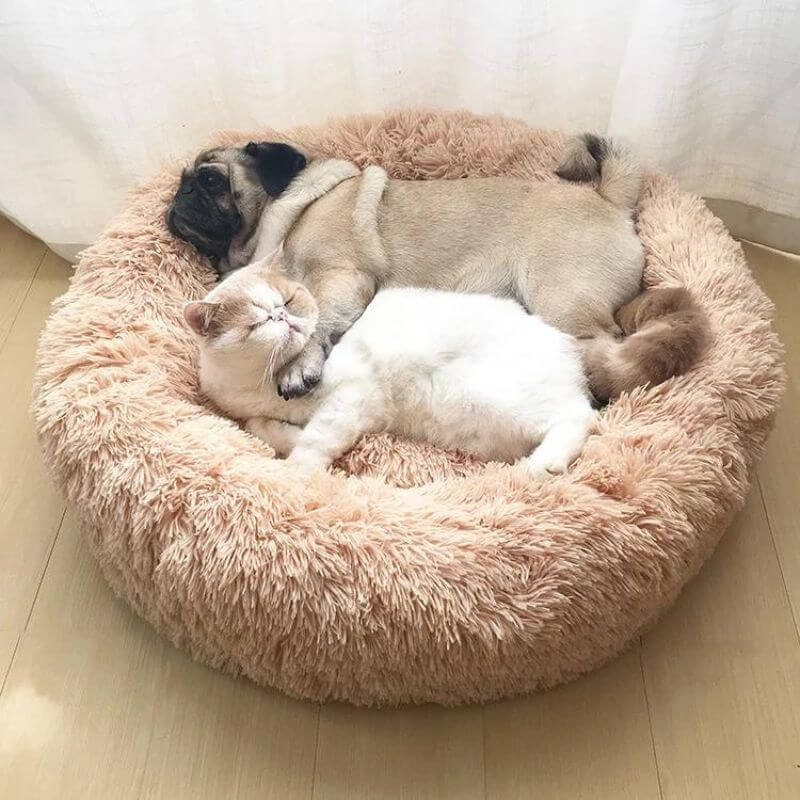 Mrfluffyfriend™ - World's #1 Anxiety Relieving Cat Bed
