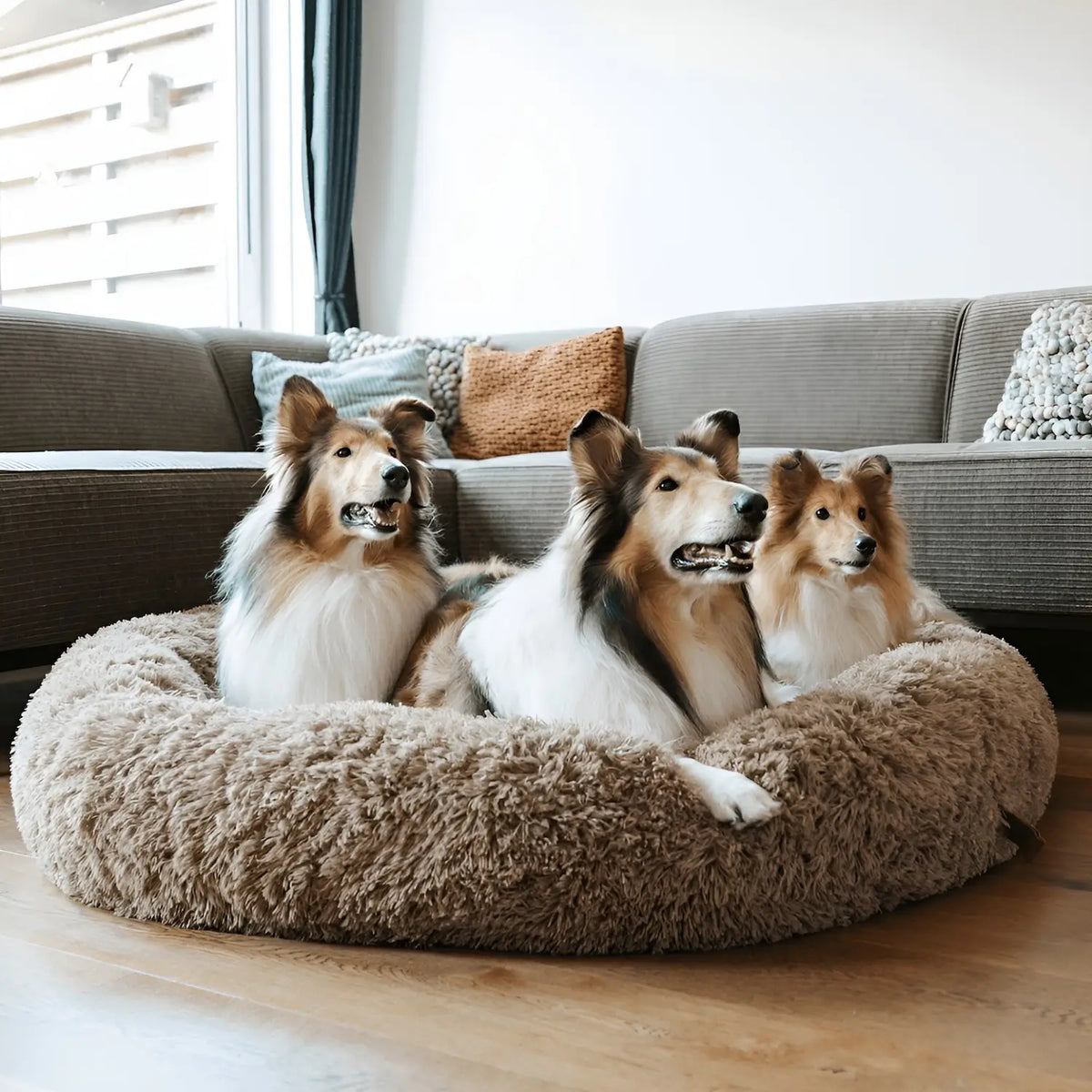 Mrfluffyfriend™ - World's #1 Anxiety Relieving Dog Bed