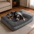 Calming Dog Cushion