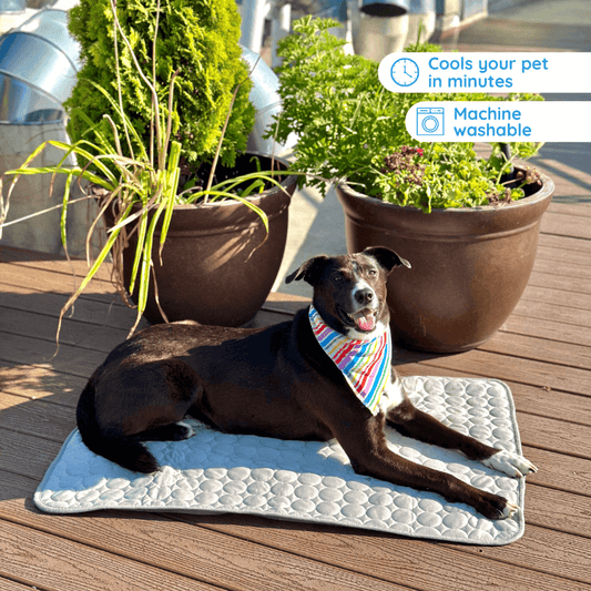 Mrfluffyfriend™ - Ultimate Cooling Mat for Pets