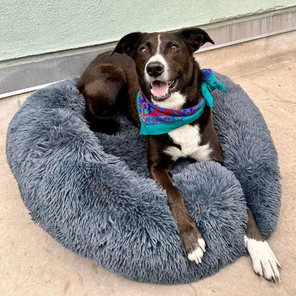 Mrfluffyfriend™ - World's #1 Anxiety Relieving Dog Bed