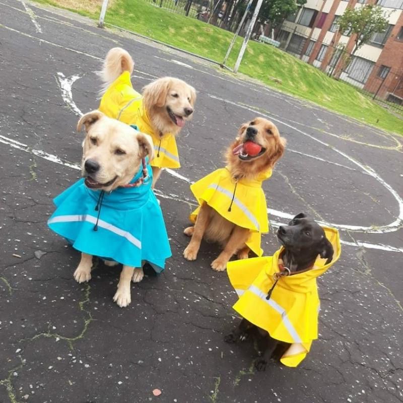 Mrfluffyfriend™ - Reflective Raincoat