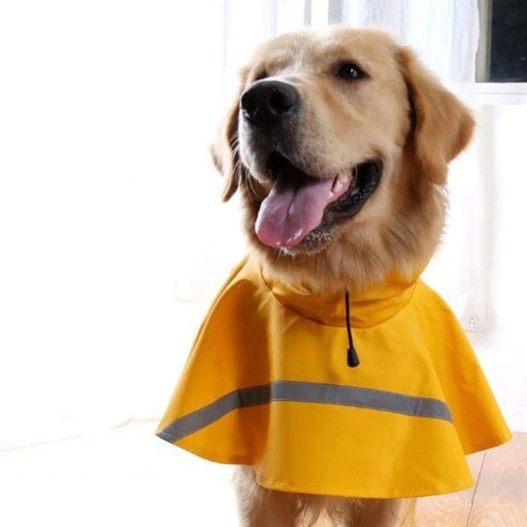 Mrfluffyfriend™ - Reflective Raincoat