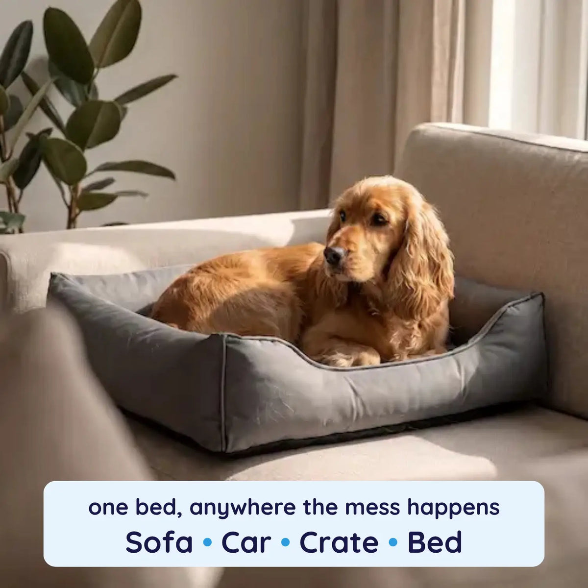 Mrfluffyfriend™ - Premium Waterproof Dog Bed